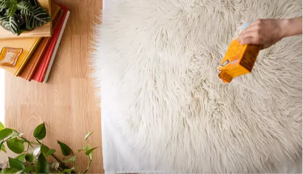 مراحل شستشوی فرش شگی