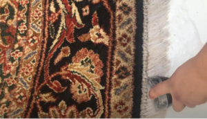 راه حل زردی ریشه فرش